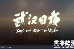 [武汉日夜][1集][纪实纪录片][国语配音中文字幕]1080P下载